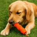 ChewCore™ Fillable Rubber Dog Chew Toy for Treat Play