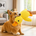 QuackPaw™ Squeaky Duck Dog Toy for Fetch Play