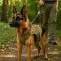 TrailCore™ Adjustable Dog Harness with Handle