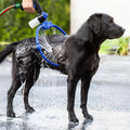 WashLoop™ 360 Dog Shower Ring for Bath Time