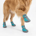 FrostStep™ Water-Resistant Dog Boots for Walks – Pack of 4