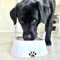 SplashGuard™ No-Spill Pet Water Bowl